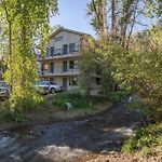 The Creekside Retreat: Steps To All Of Telluride