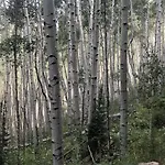 Apartment Penthouse Telluride