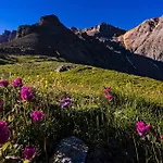 Terraces ~ The Hot Toddy