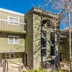 Riverside C203 - Riverside Owl