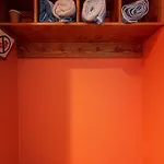 Riverside C101 - Riverside Wren