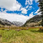 Viking B218 * Telluride