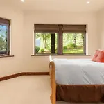 Luxe Mountain Village Retreat Hot Tub With Views * Telluride