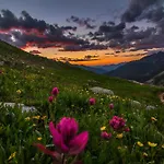 Stone Alley Condo Condo