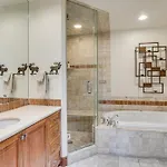 Luxurious Ski-in/ski-out Mountain Escape Telluride
