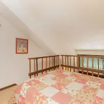 Manitou Lodge 9 By Alpine Lodging Telluride