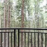 Apartment Bear Creek 201 *