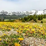 Rocky Mountain Lookout * Telluride