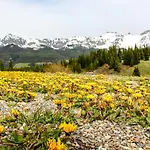Town Jewel * Telluride