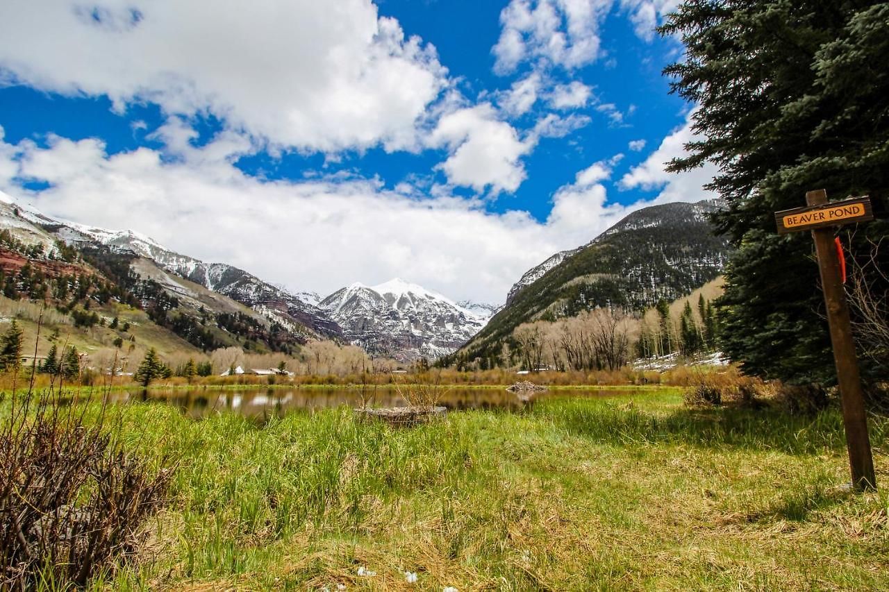 Mountain Apartment Telluride