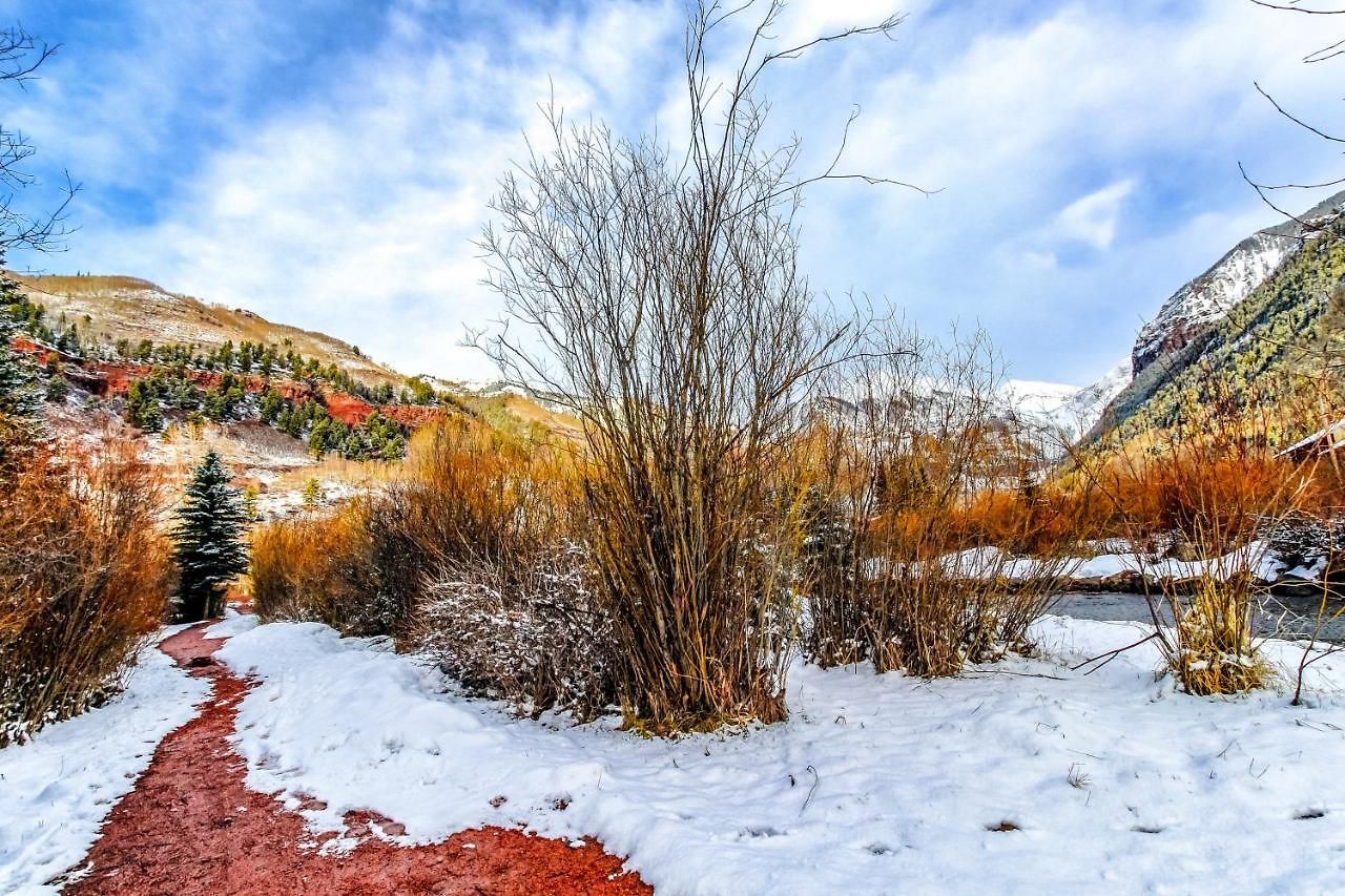 Mountain Apartment Telluride