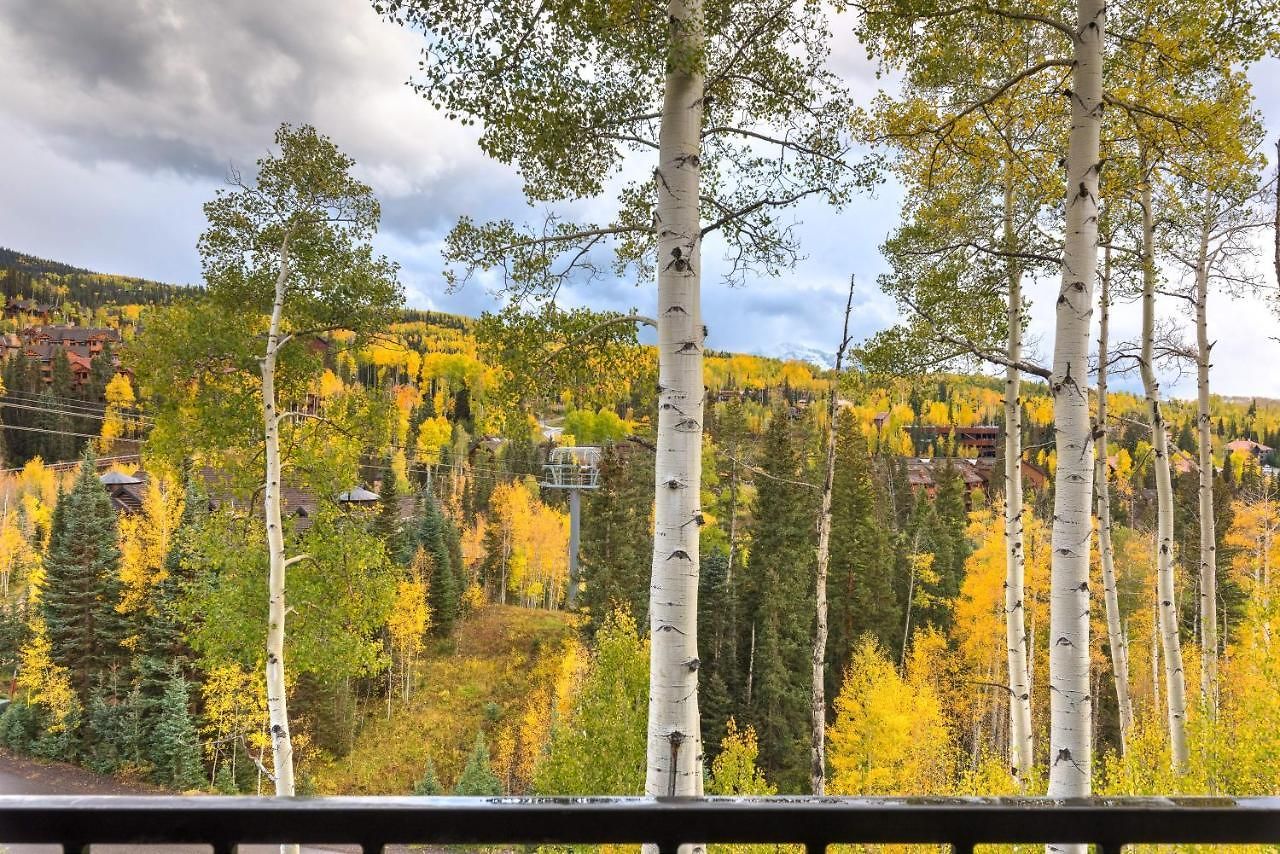 Aspen Ridge 3 By Alpine