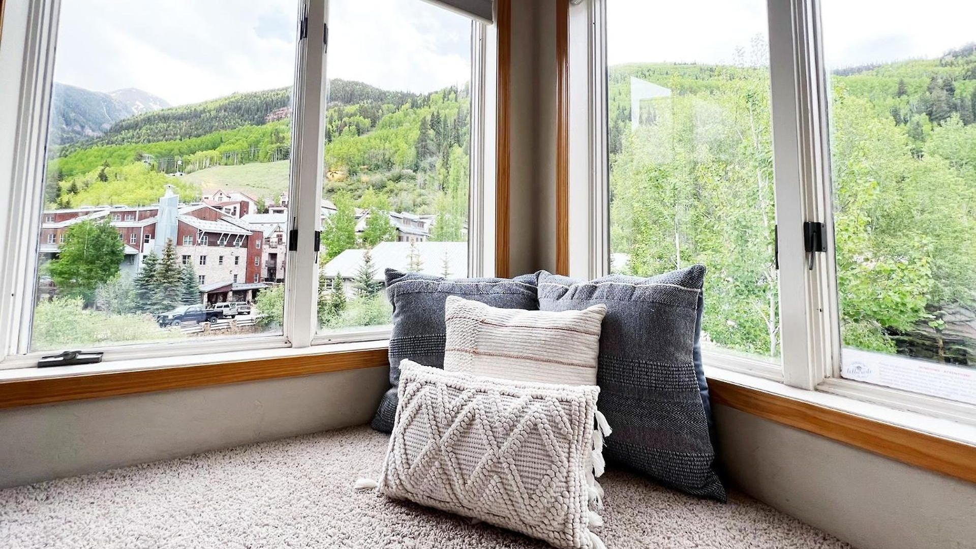 Viking 313 Apartment Telluride