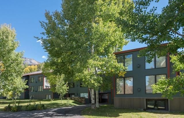 Apartment Walk To Festivals! Windows, Fireplace, Hot Tub *
