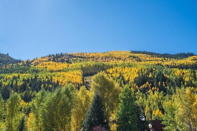 Walk To Festivals! Windows, Fireplace, Hot Tub Apartment Telluride