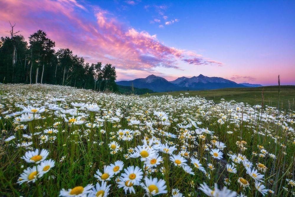 Huge Riverfront Deck, Walk Everywhere - Viking 100a Apartment *