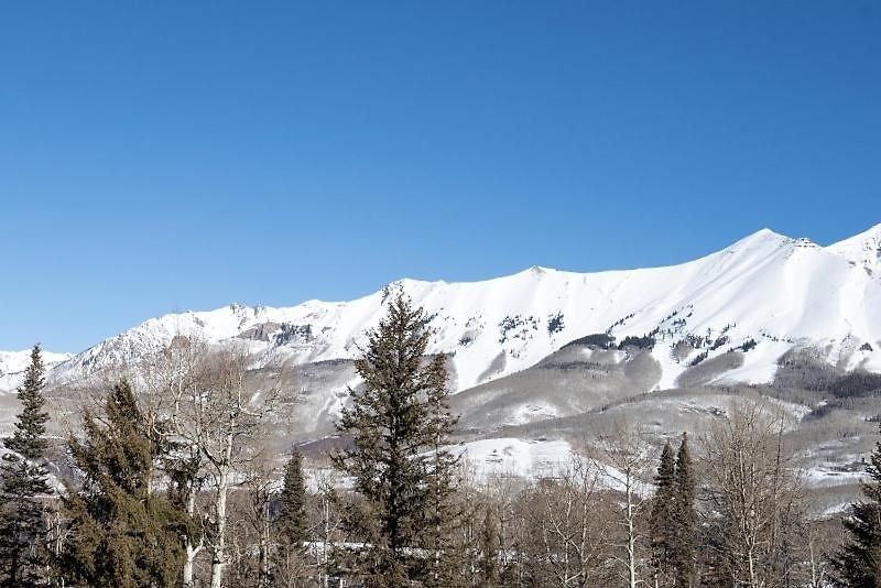Bear Creek 311 By Alpine Apartment Telluride