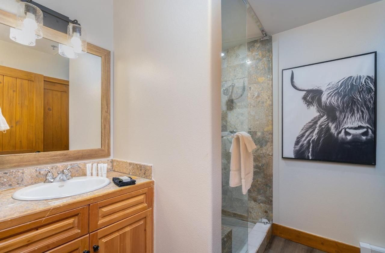 Apartment Bear Creek 408 By Alpine Telluride