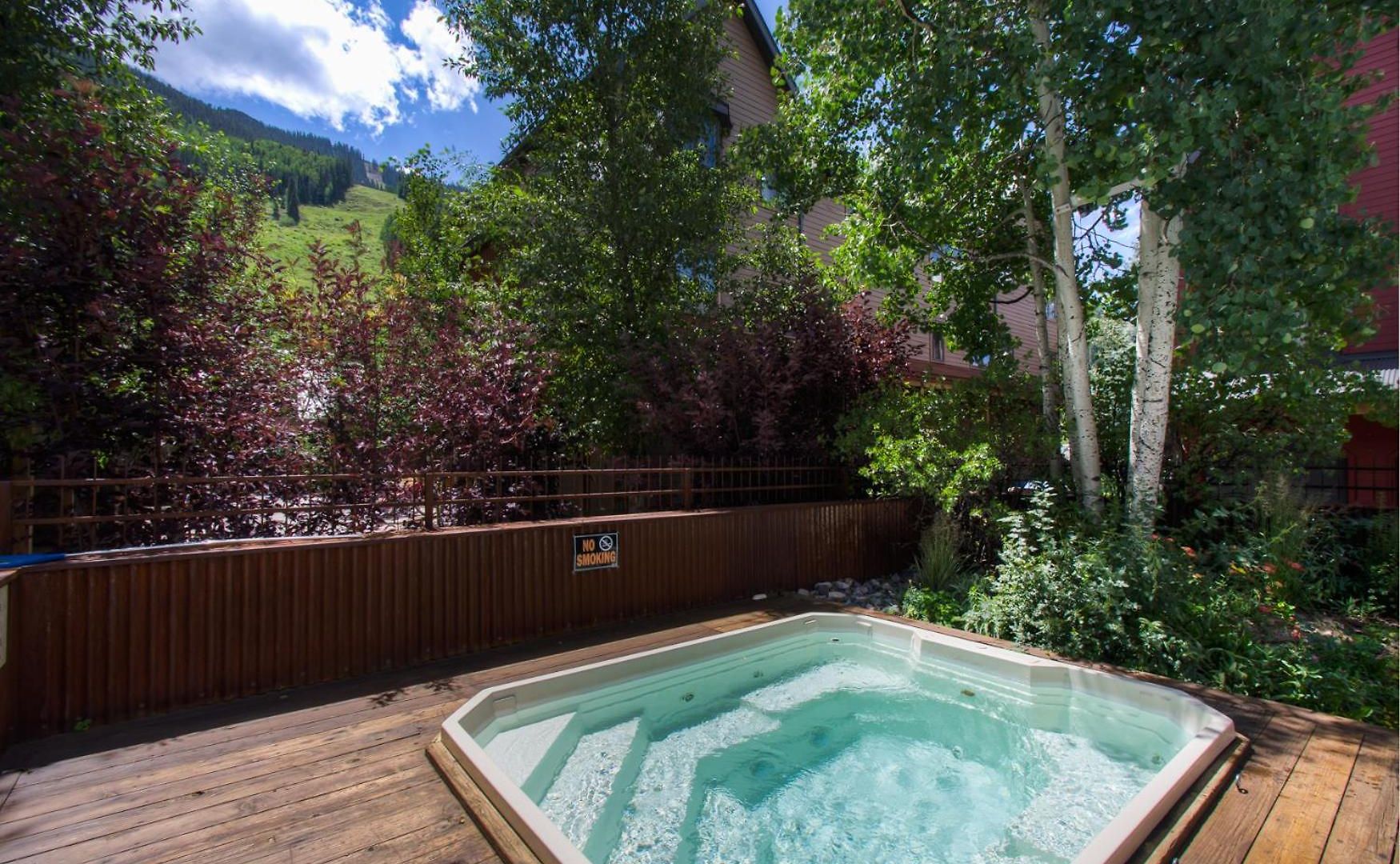 Spacious In Telluride-beautiful West Views! * Telluride