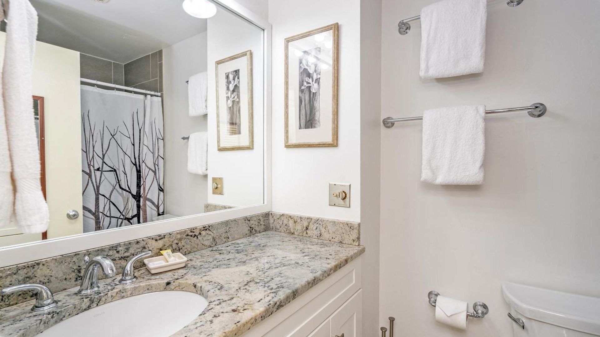 Cozy Two Bedroom In The Middle Of It All! * Telluride
