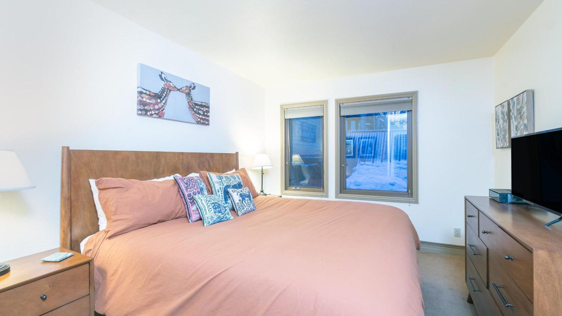 Ski-in Ski-out Ground Floor Easy Access Holiday home Telluride