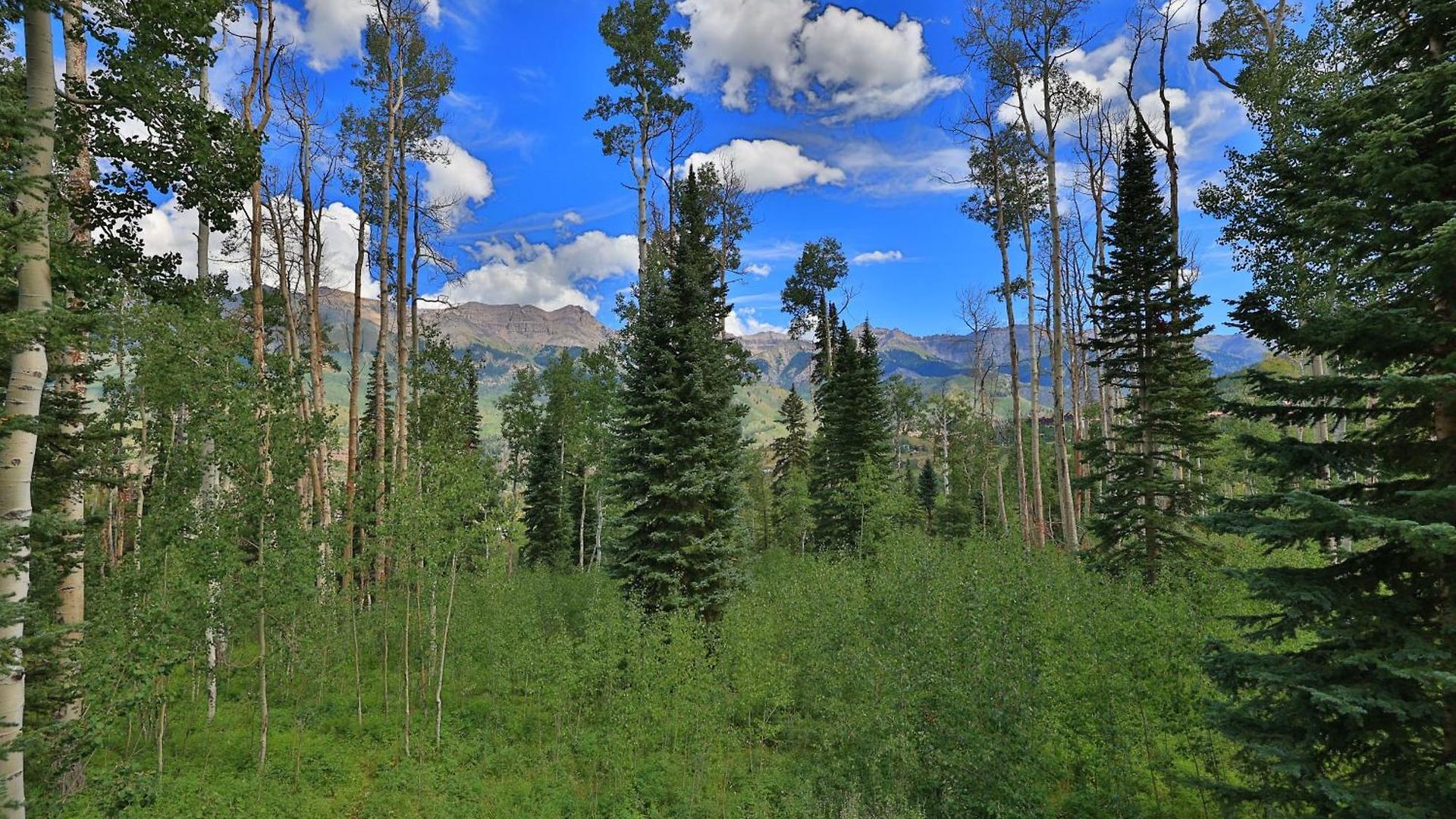 Holiday home Mountain Village Marvel W/ Hot Tub & Gym! Telluride