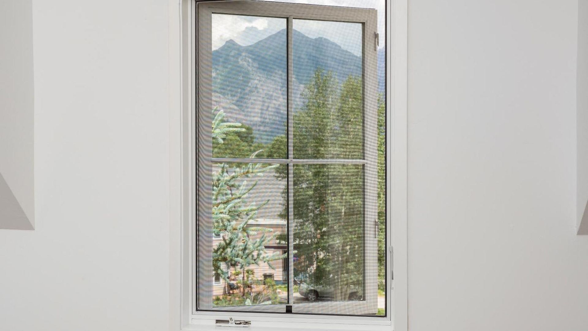 Will Brand New Mountain Contemporary *