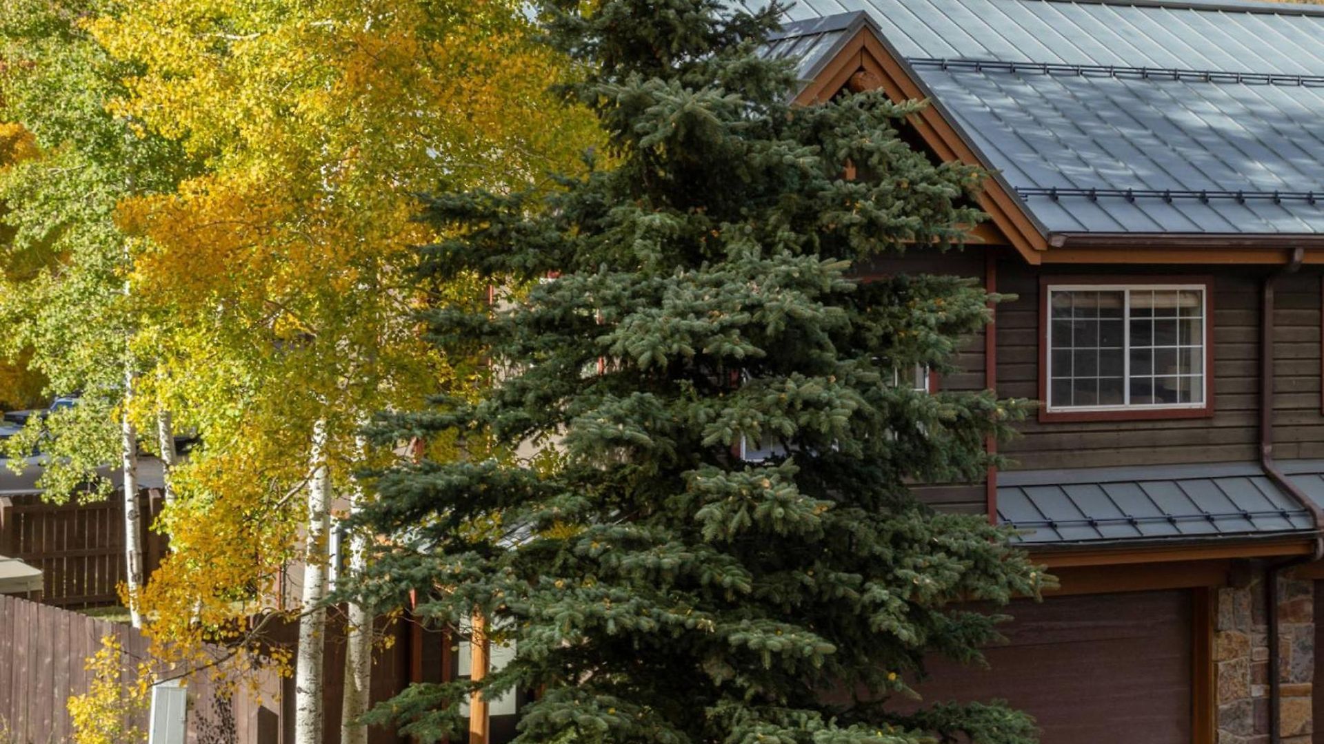 Northstar 135 Telluride