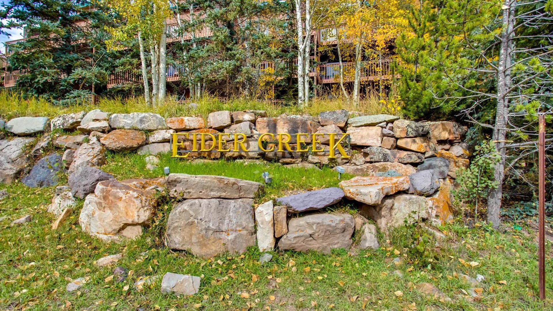 Cozy Near & Hiking