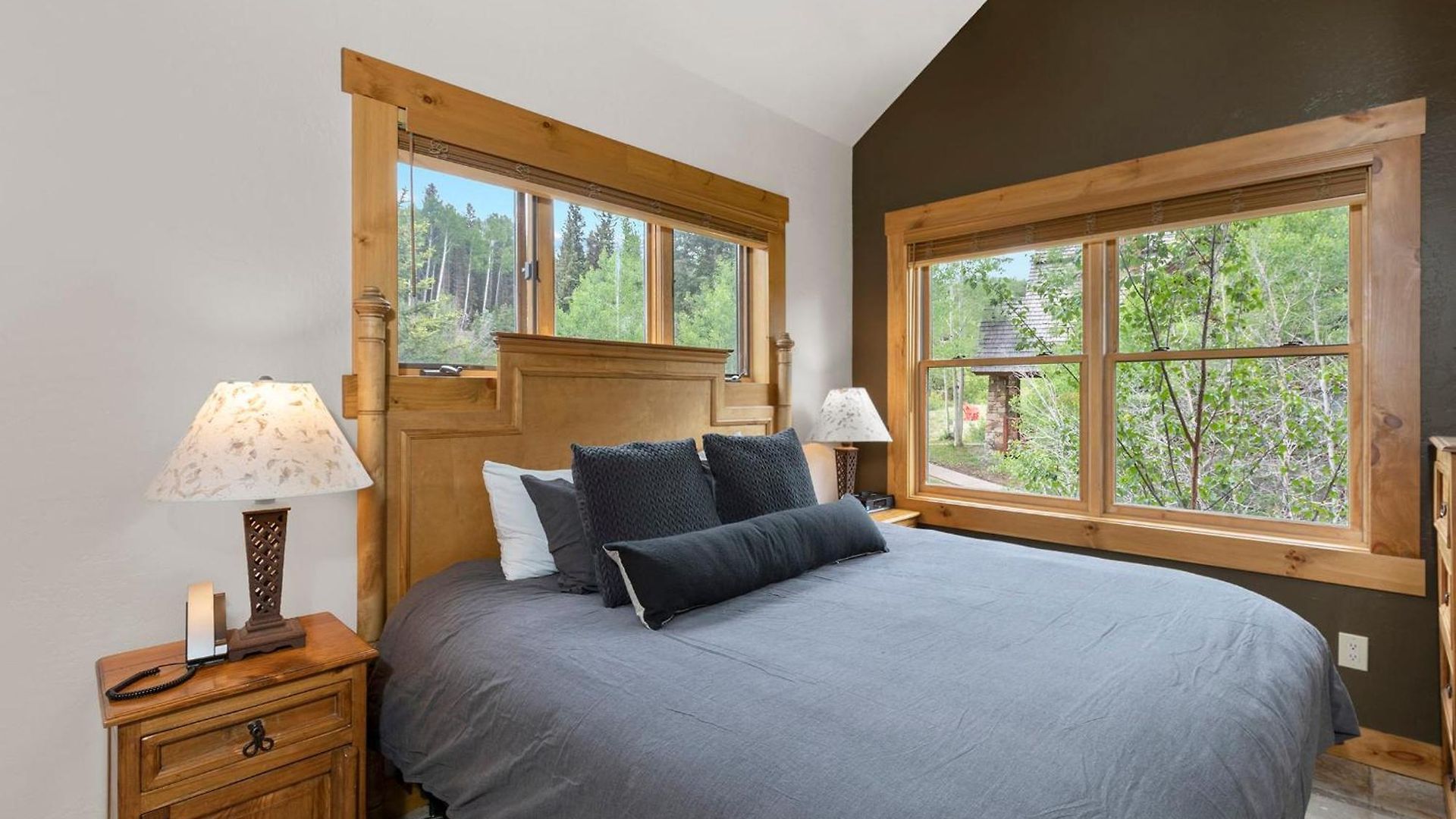 2 Bedroom - Luxury Skiin And Out Holiday home Telluride