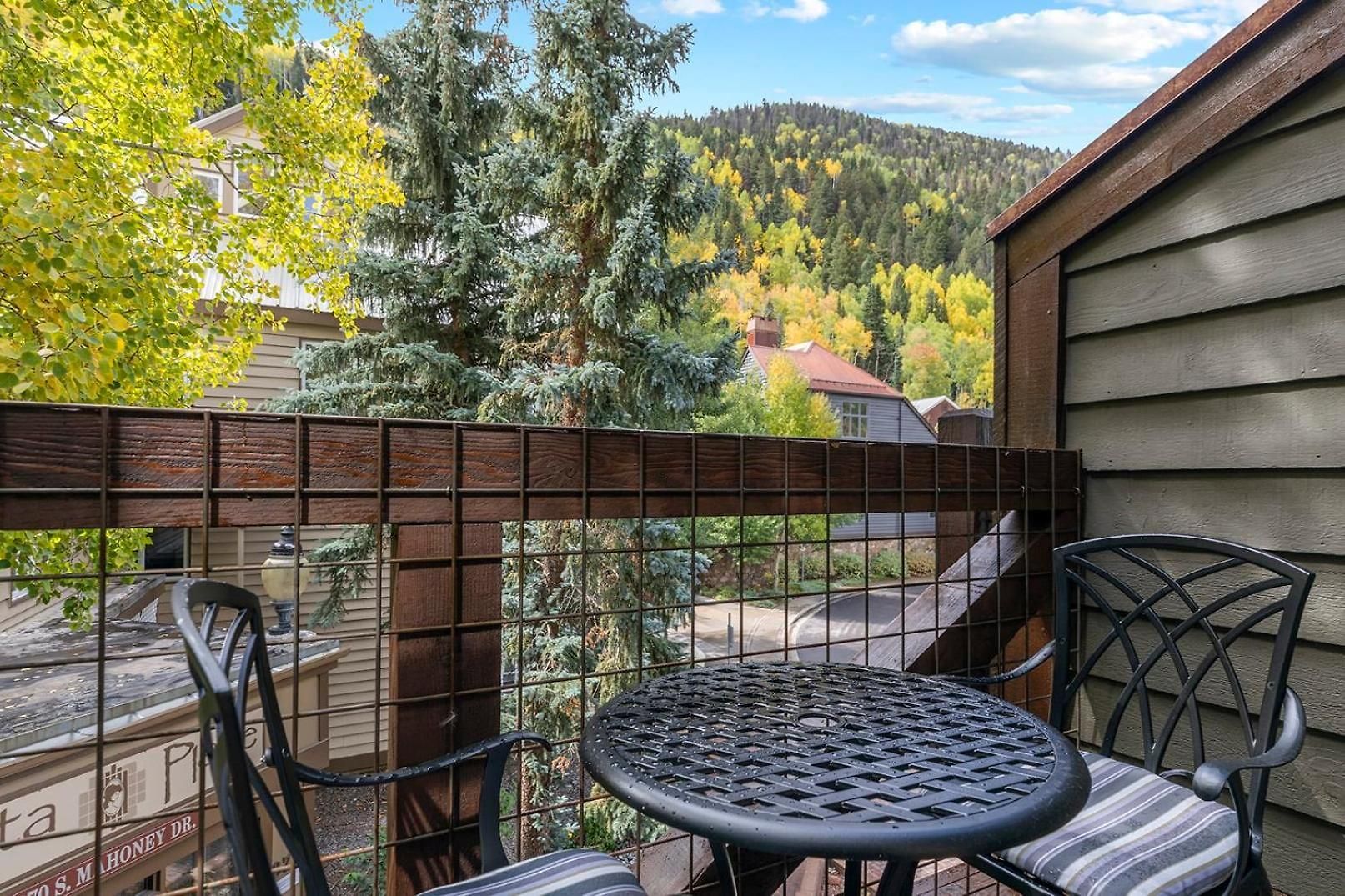 In Out Remodeled Luxury Telluride