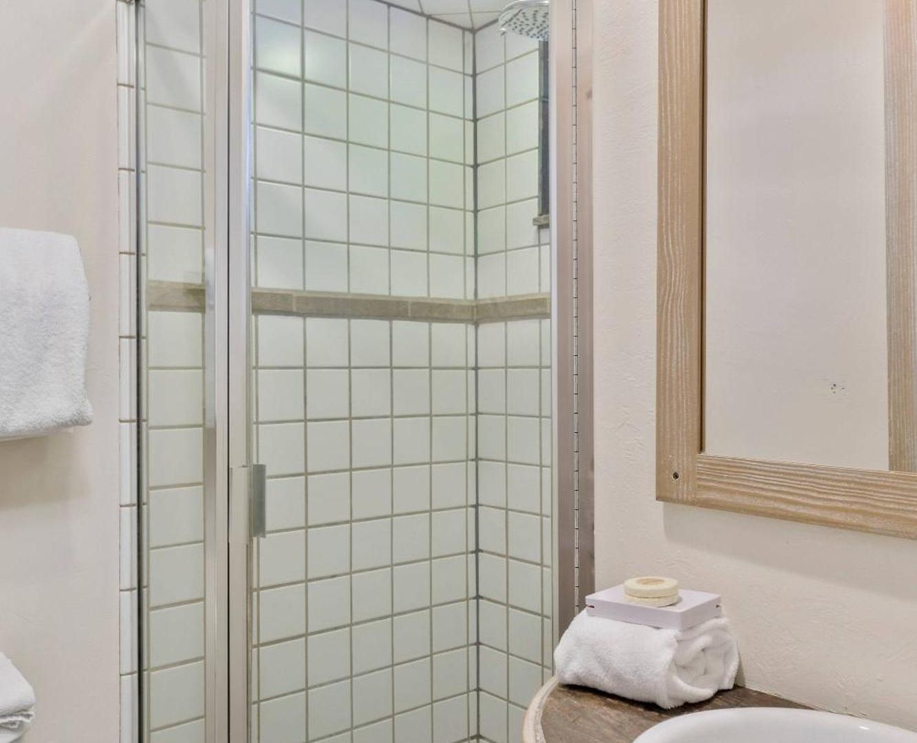 Remodeled Luxury - Skii In Skii Out Telluride