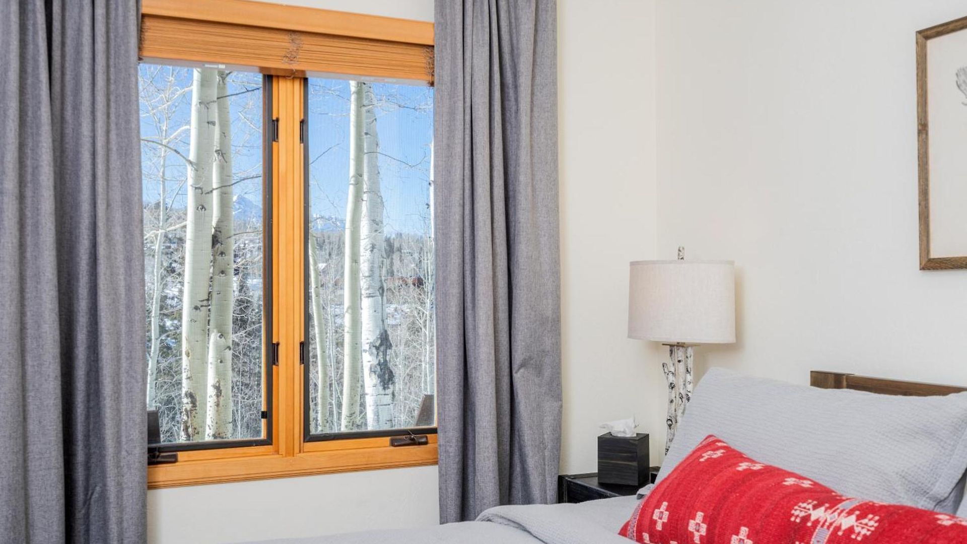 Mountain Village Hideaway By Alpine Holiday home Telluride