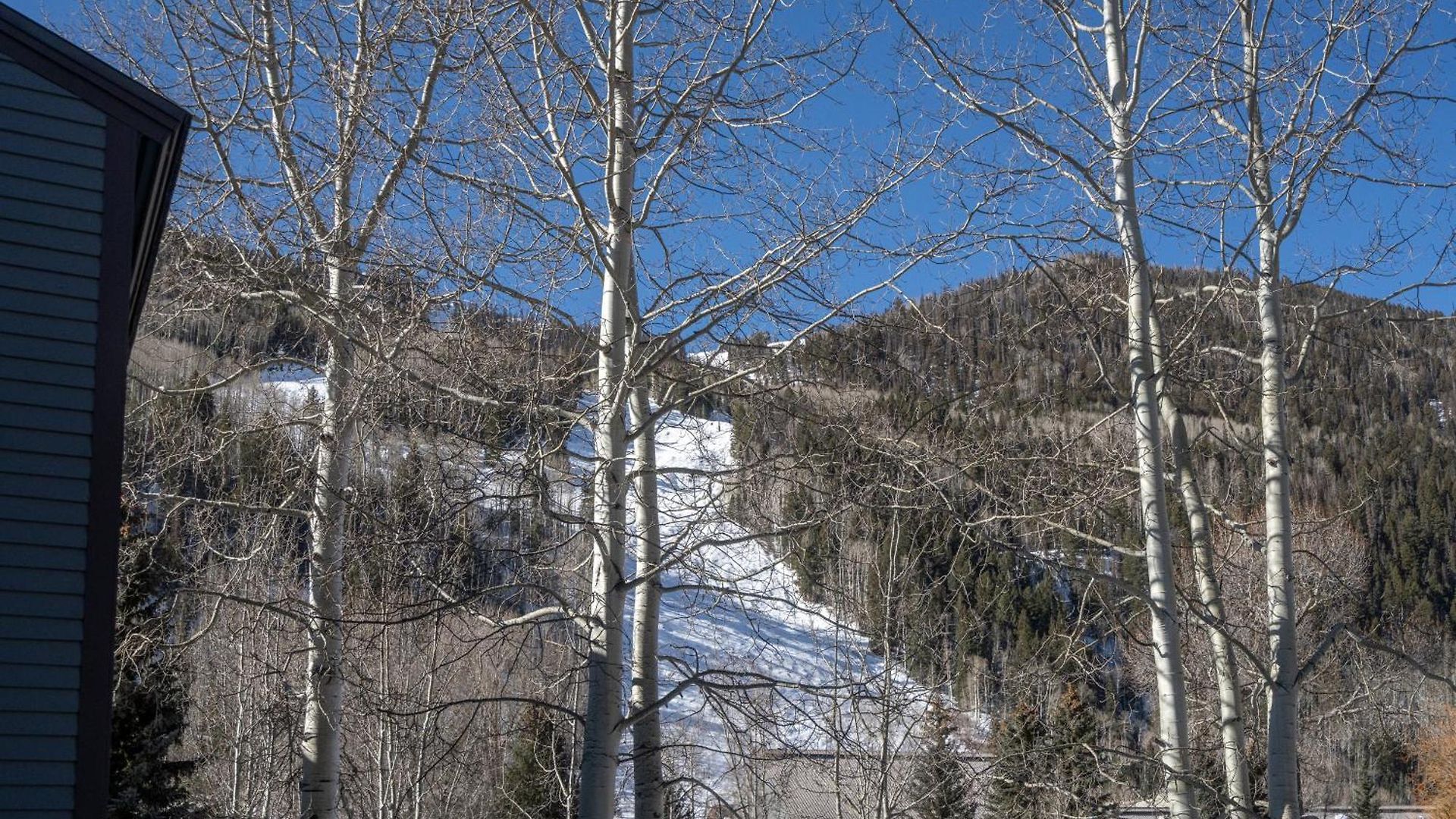 Apartment 329 Telluride