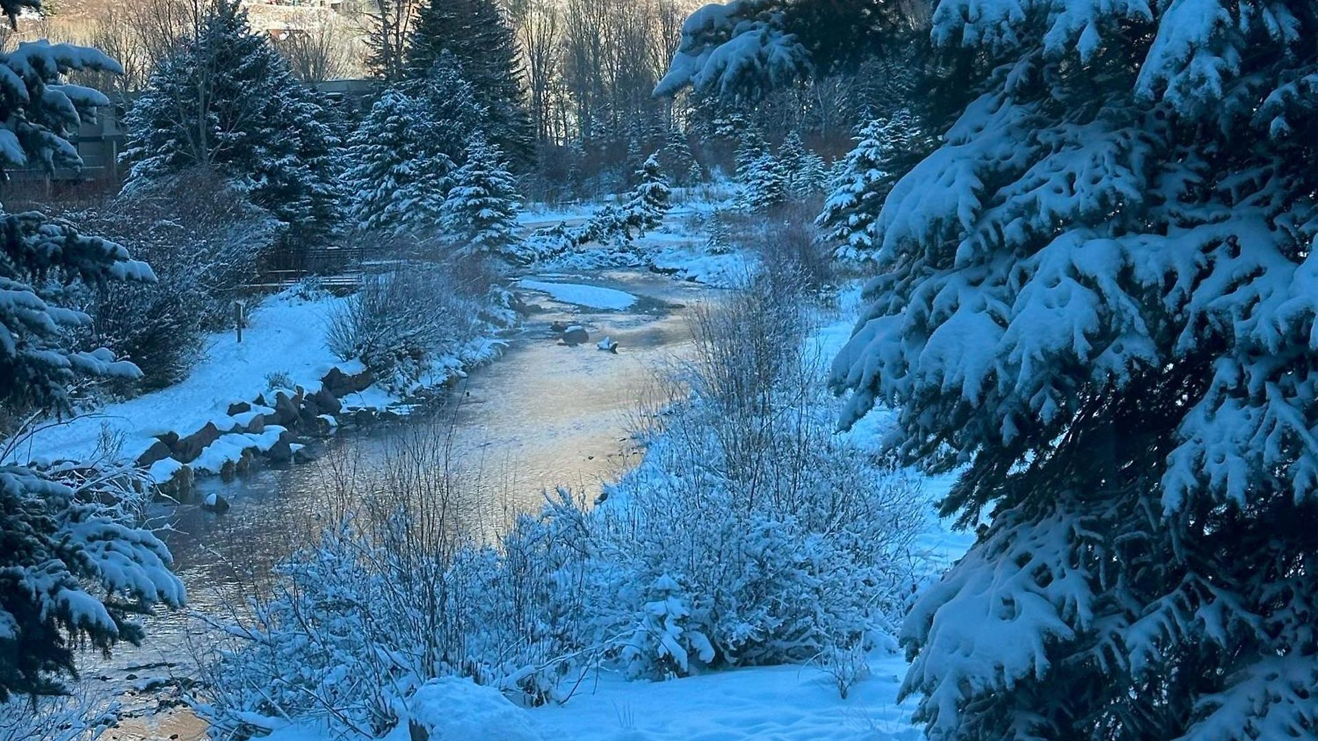 Riverside A103 By Exceptional *