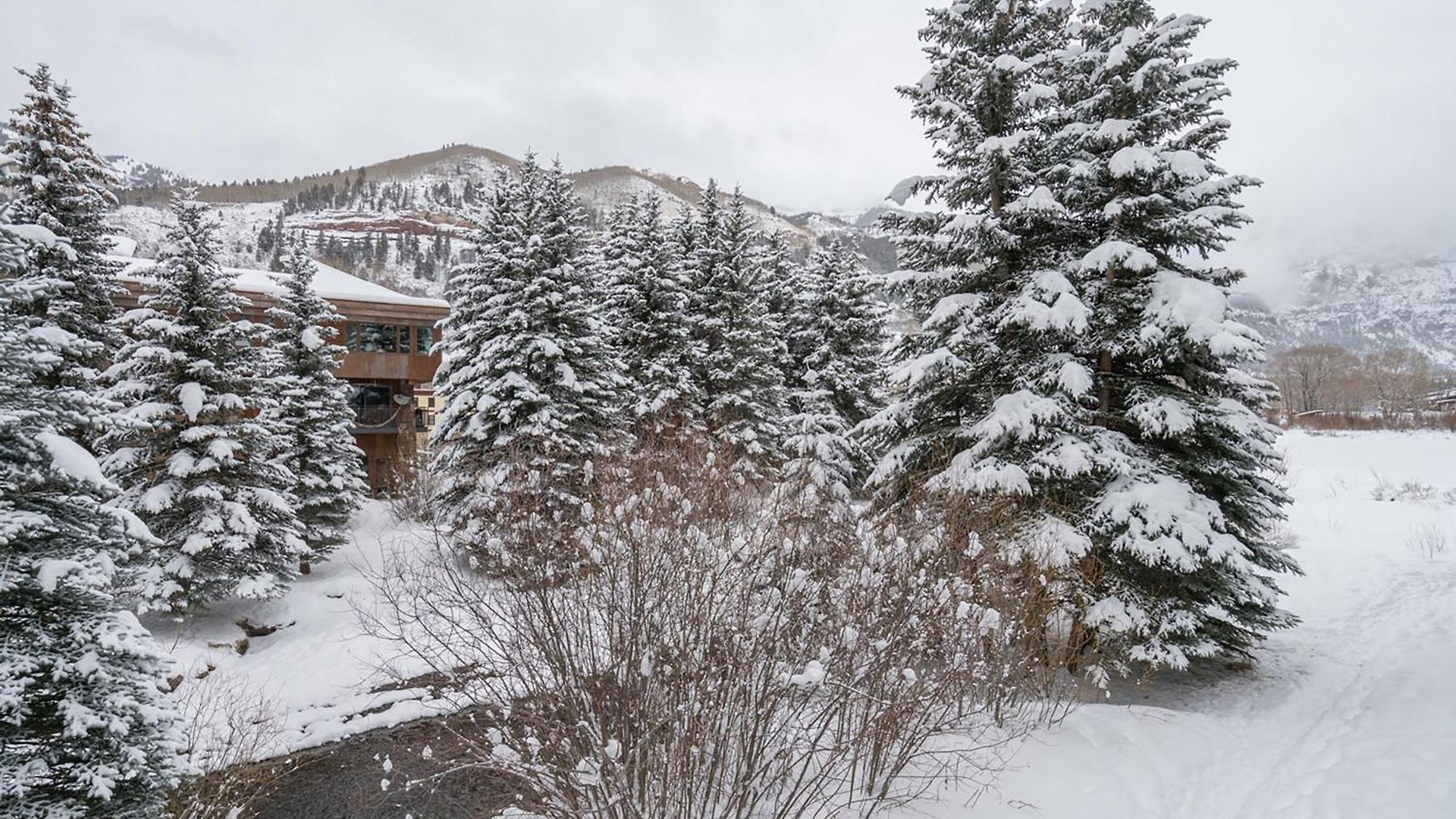 Apartment Riverside A103 By Exceptional Telluride