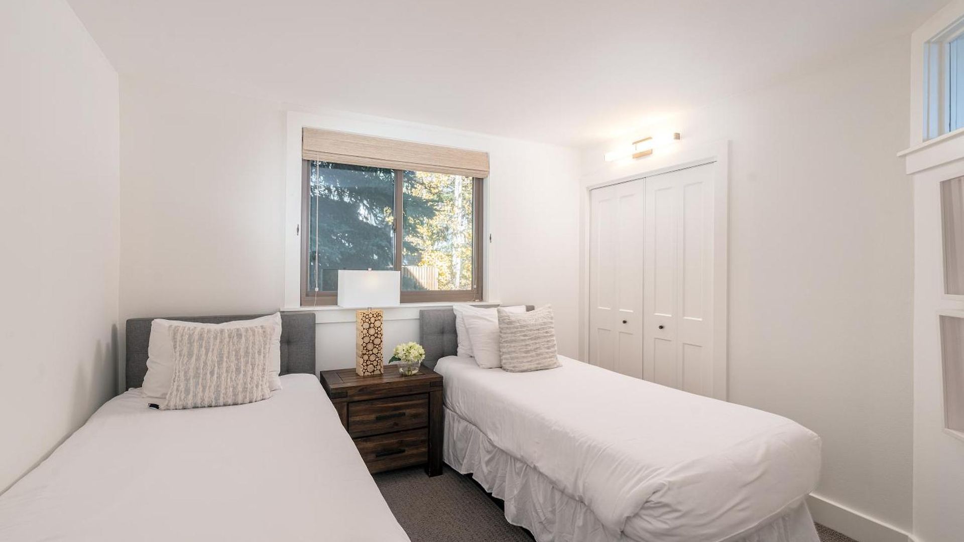 Plunge J By Exceptional Telluride