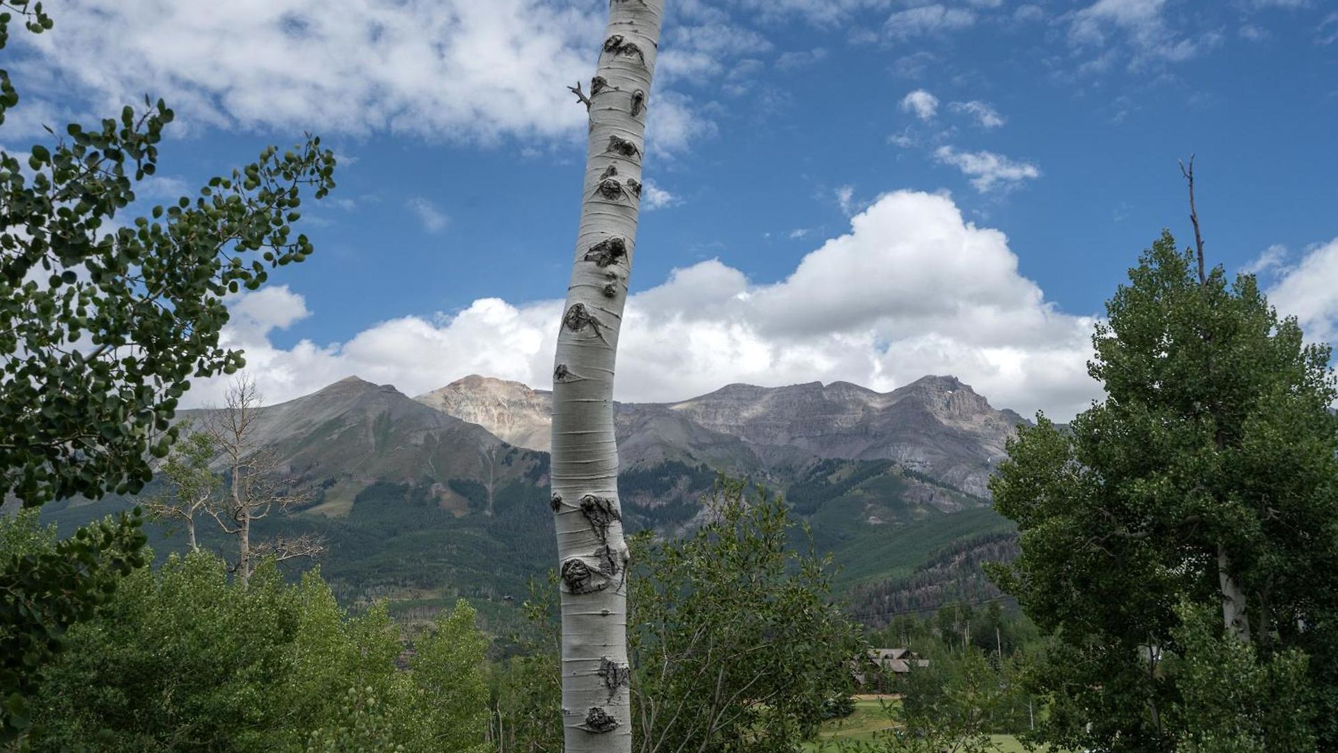 Palisade At Pine Meadows By Exceptional