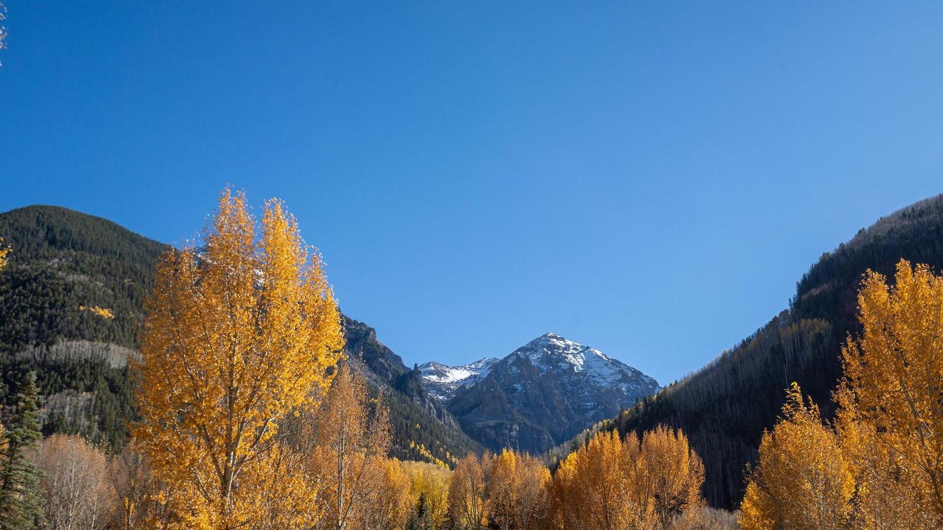 Bear Creek West By Exceptional *