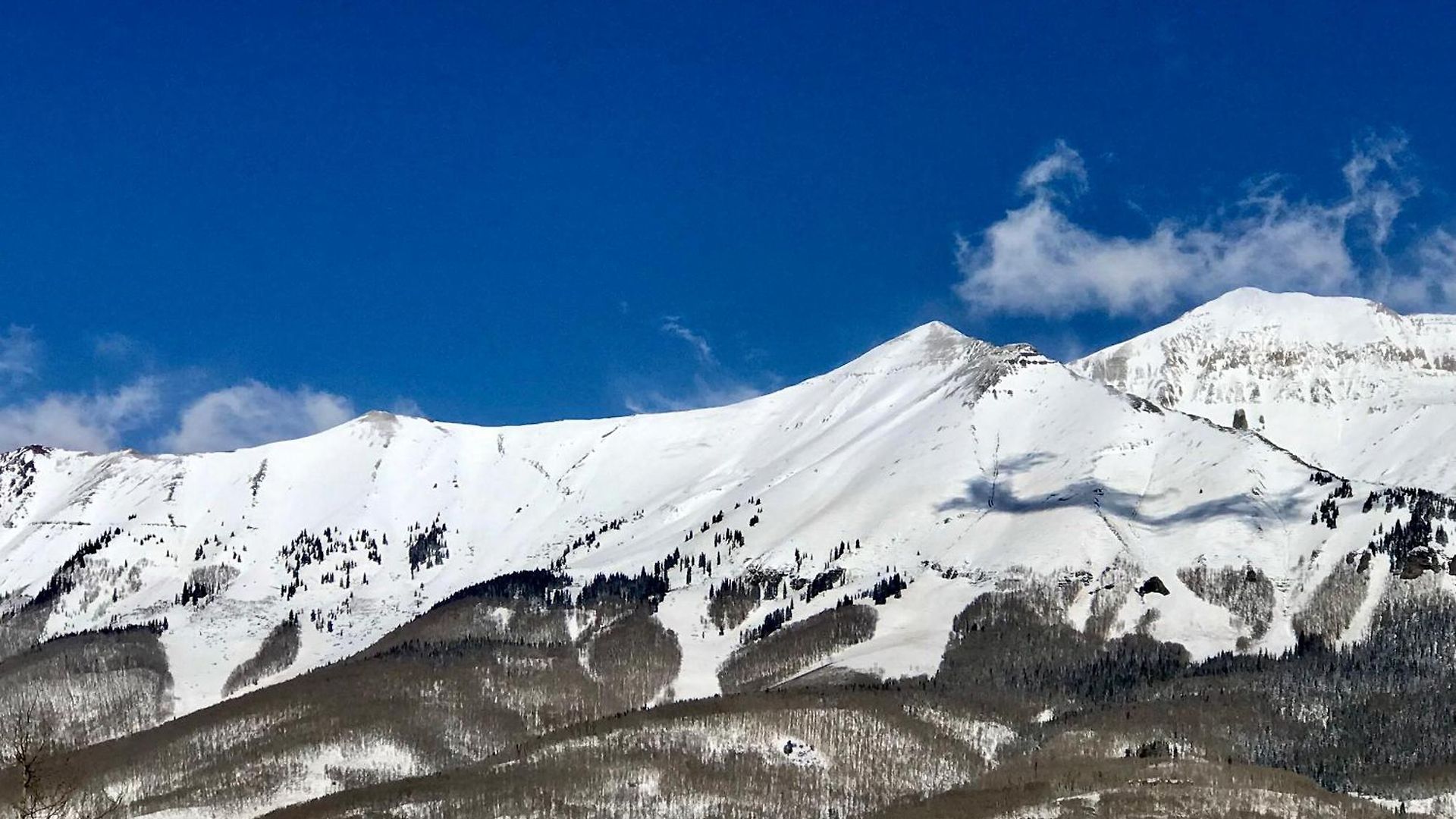 Sophia Sundance By Exceptional * Telluride