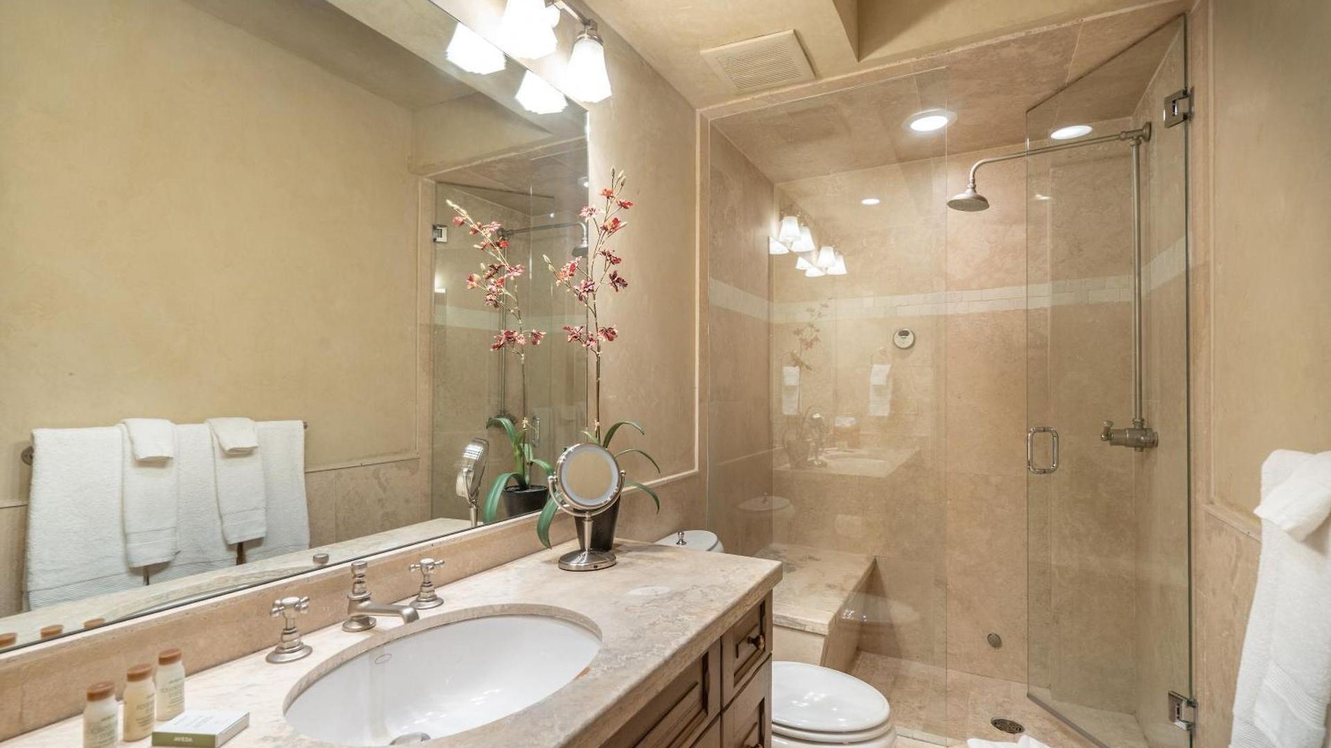211 A South Oak By Exceptional Telluride