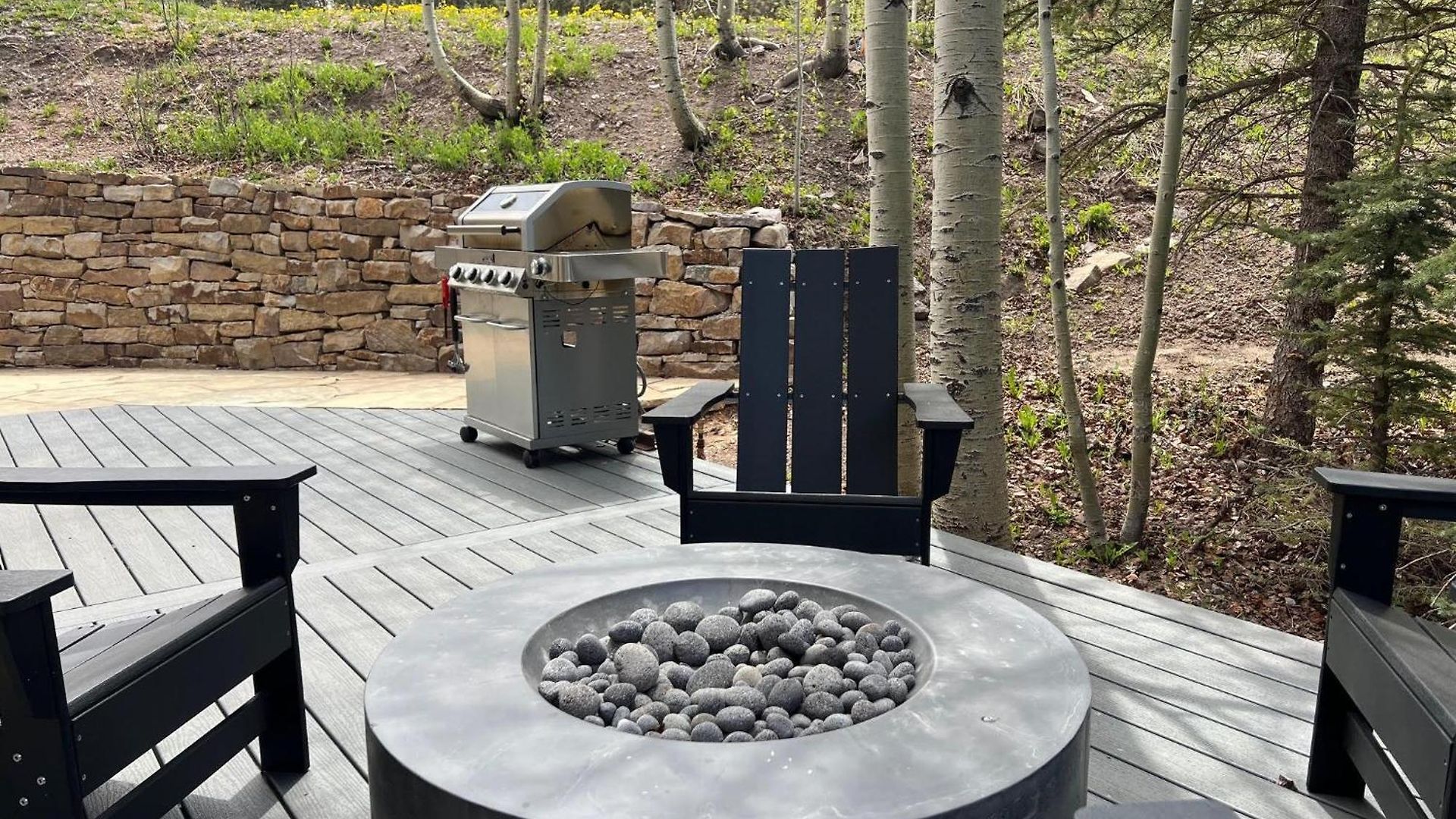 Winterleaf Holiday home Telluride