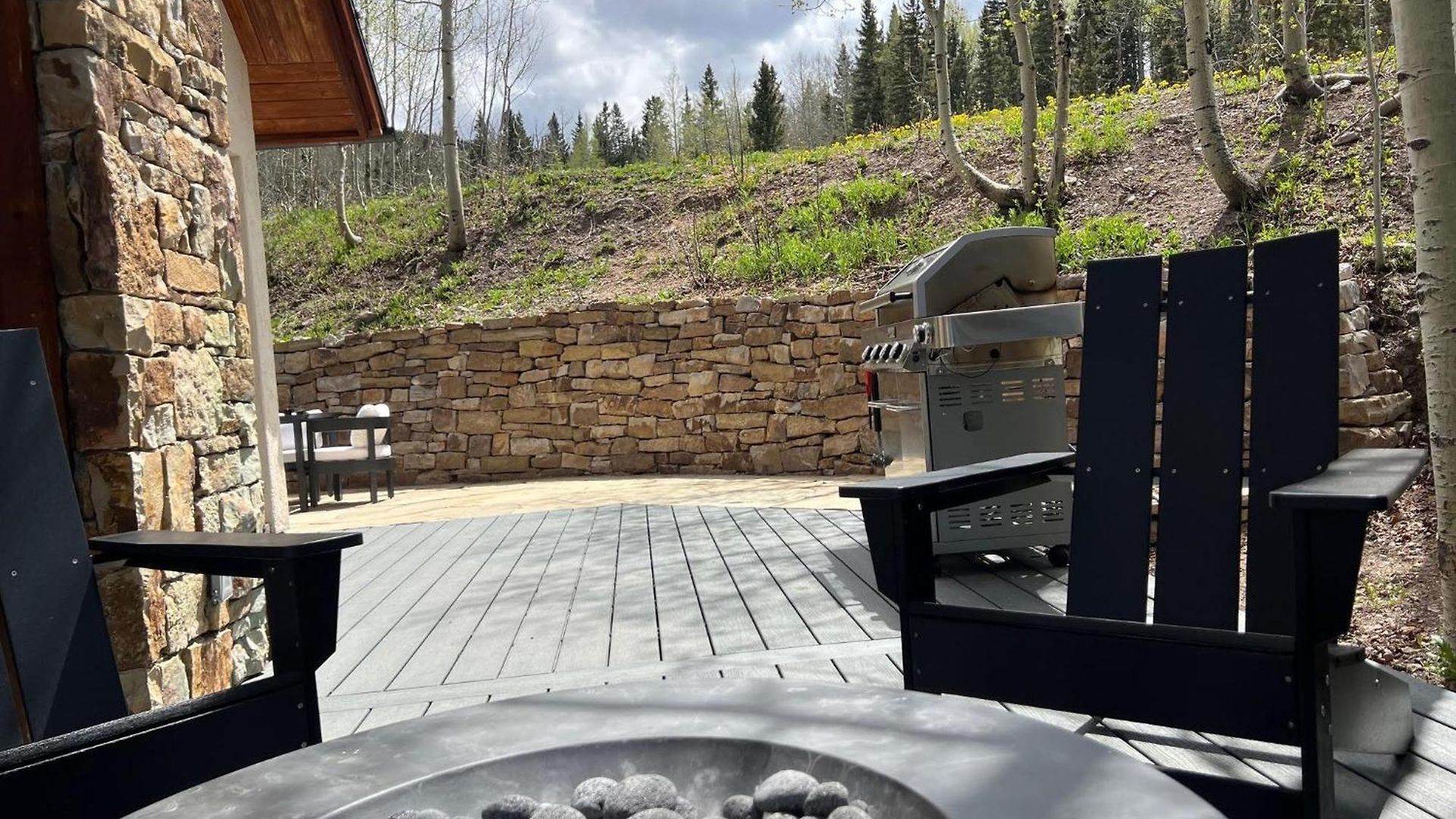 Winterleaf Holiday home Telluride