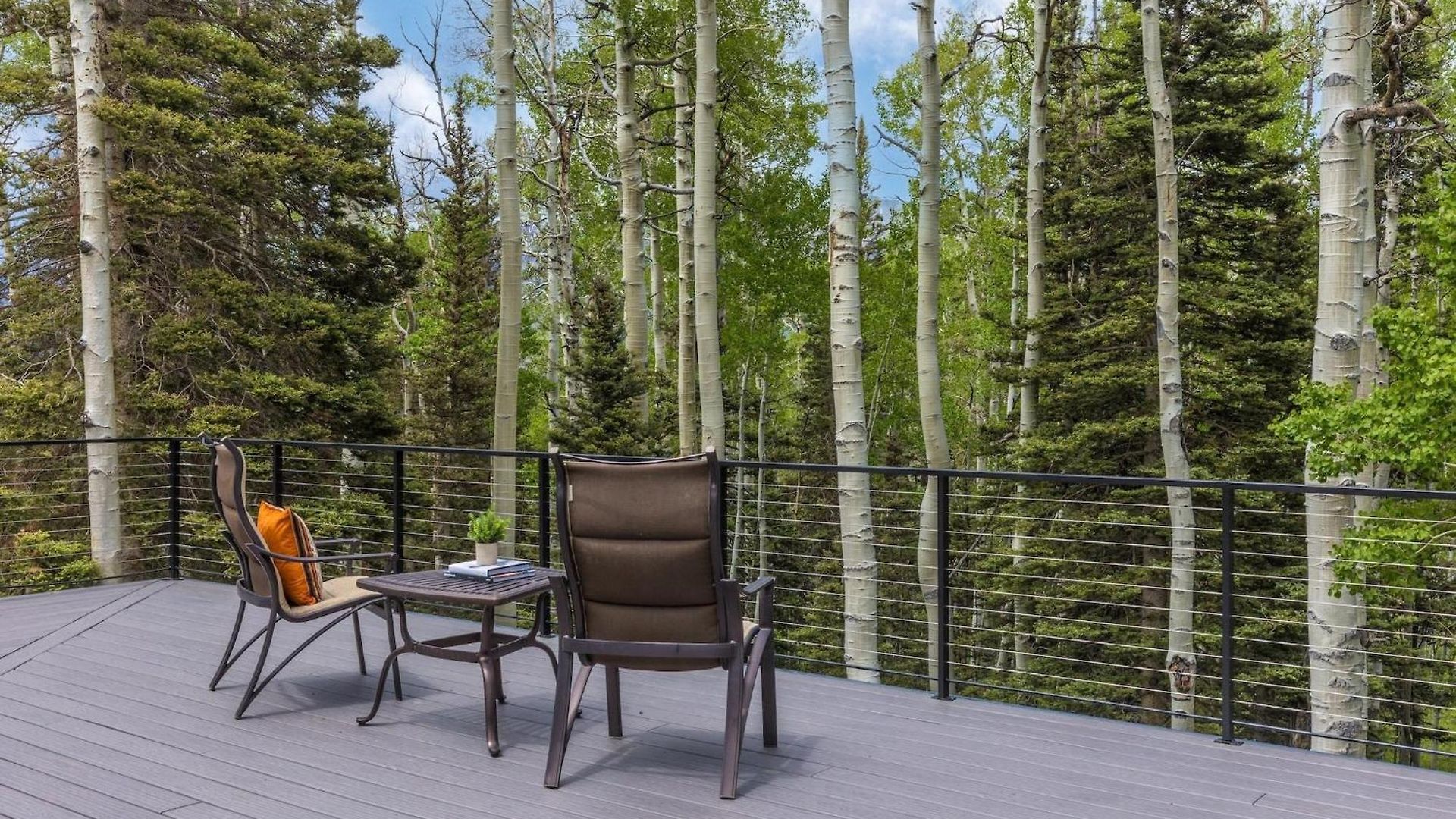 Saddle Horn Lane Holiday home Telluride