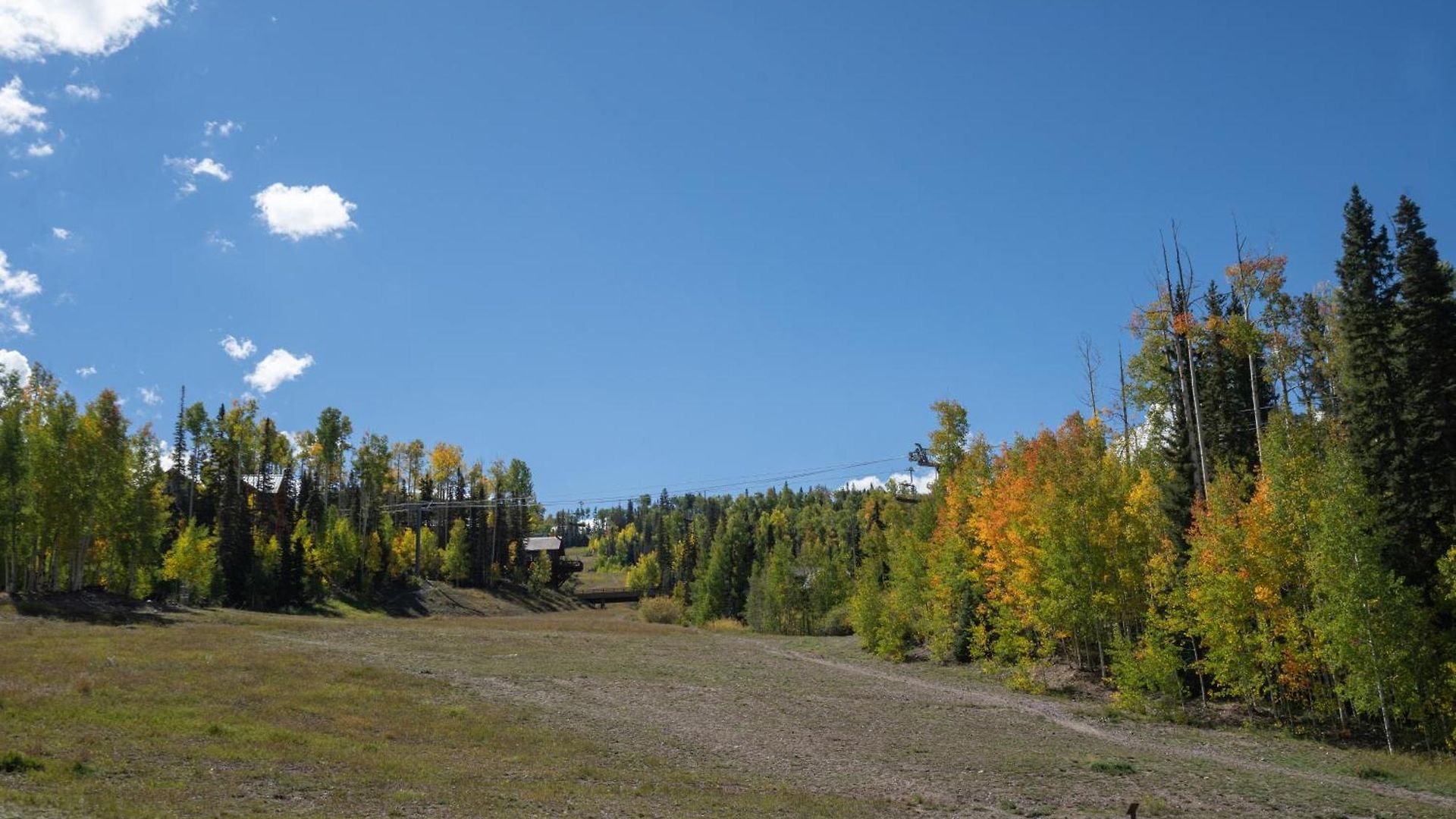Luxury Lorian Lookout With Plenty Of Amenities * Telluride