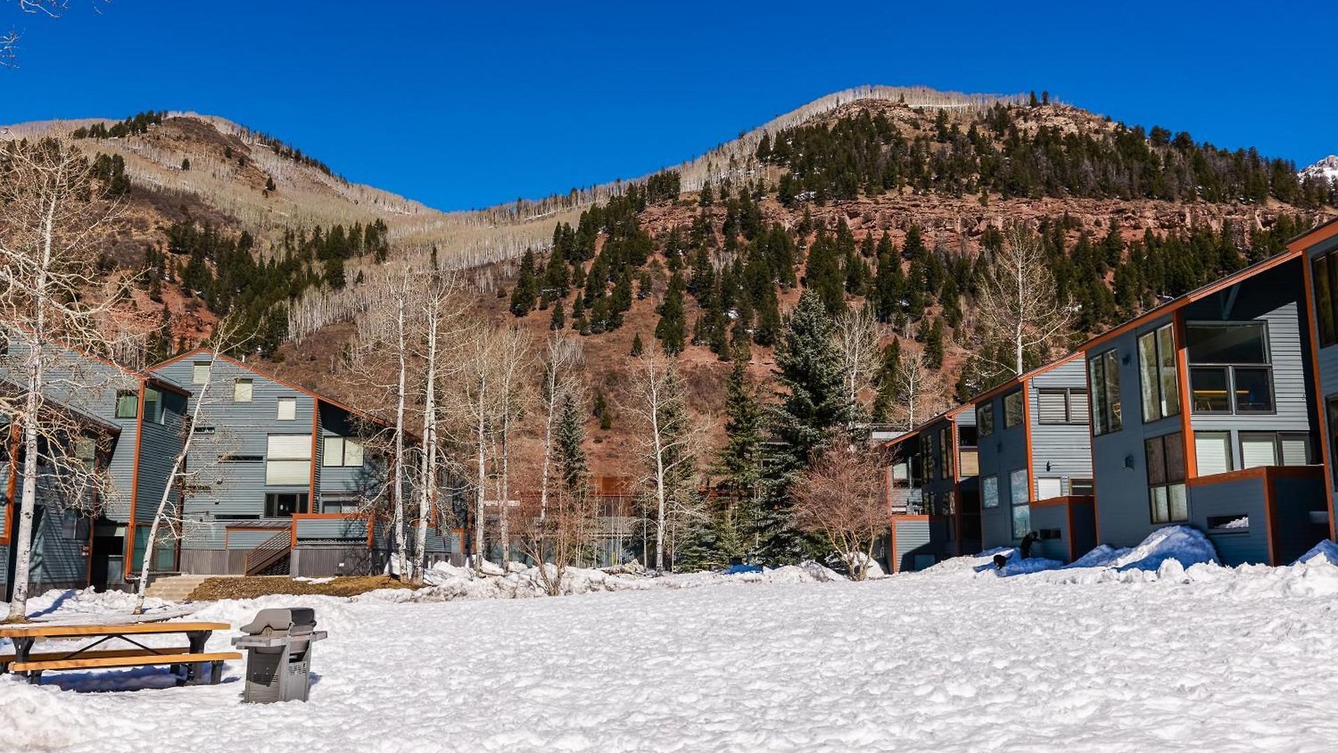 Apartment Telluride Lodge *
