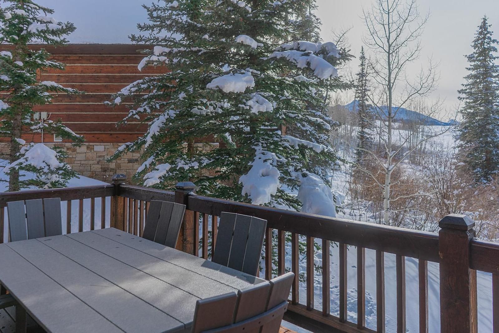 Double Eagle B2 Picturesque Mountain - 3 Bedroom 3 Ba Sleeps 8 Telluride