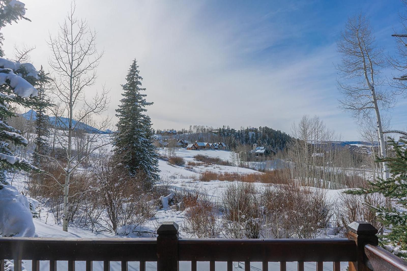 Double Eagle B2 Picturesque Mountain - 3 Bedroom 3 Ba Sleeps 8 * Telluride