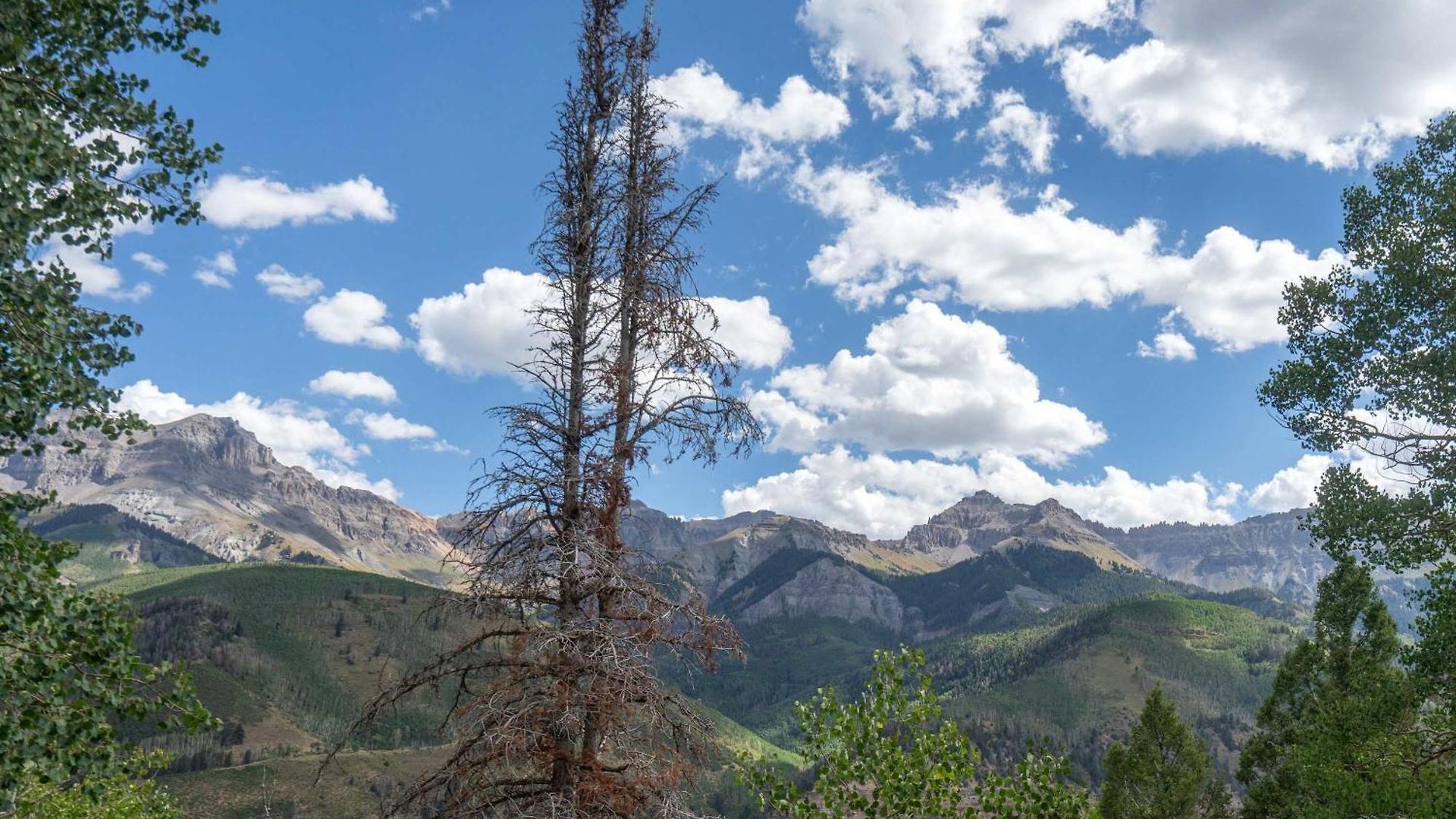 Holiday home Crystal Ridge Retreat Hot Tub Walk To Lifts Telluride