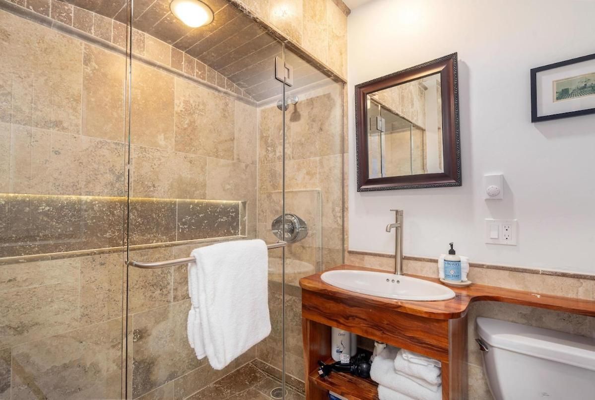 Unit 323 Telluride